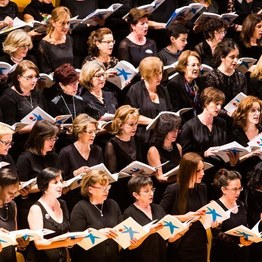 Fundación  la Caixa   El Mesías Participativo